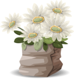 flowers-576114_960_720.png